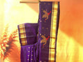 GADWAL HANDLOOM SAREE