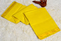 MANGALAGIRI PURE SILK SAREE